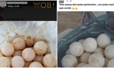 pjimage 2021 06 08T134721