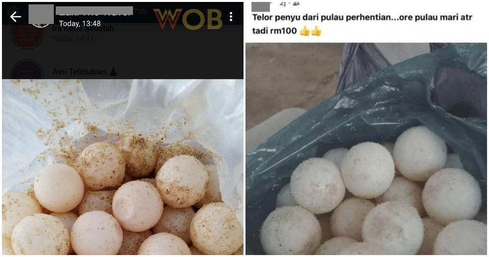 pjimage 2021 06 08T134721