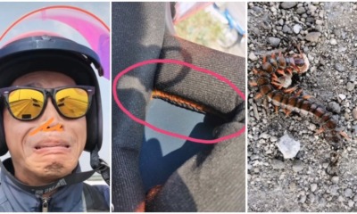 pjimage 2021 06 18T010030.985