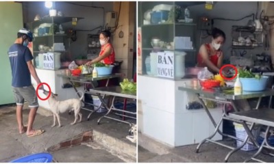 pjimage 2021 06 23T010705.856