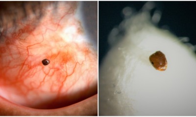 pjimage 2021 06 24T140929.603