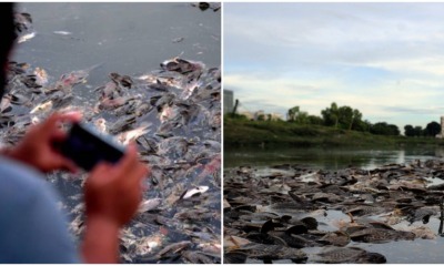 pjimage 2021 06 24T190455.754