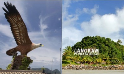 6BEE653F 8199 488A 83B3 803CBAFD988B