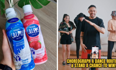 CALPIS FI 2