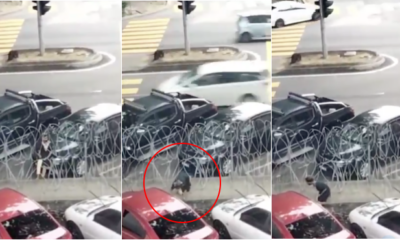 Lady Crawling Under Barbed Wire