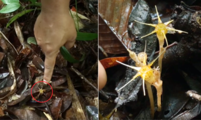 My Post 2021 07 01T094324.447