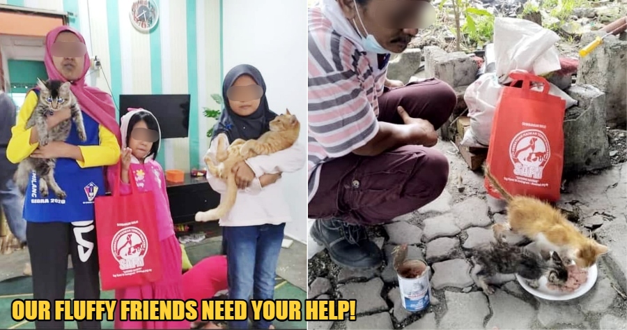 My Post 2021 07 05T154754.601 1