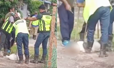 My Post 2021 07 09T134941.211