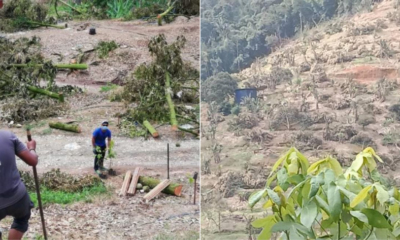 My Post 2021 07 13T164304.629