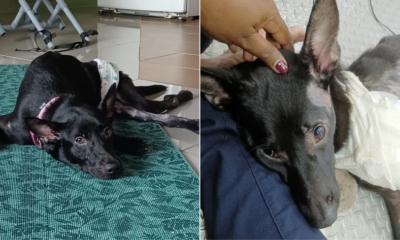 My Post 2021 07 21T165551.243