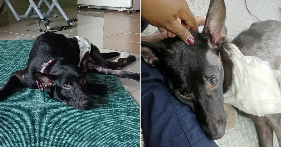 My Post 2021 07 21T165551.243