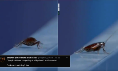 cockroach at the tokyo 2020 olympic games