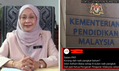 newmoedirectorgeneral