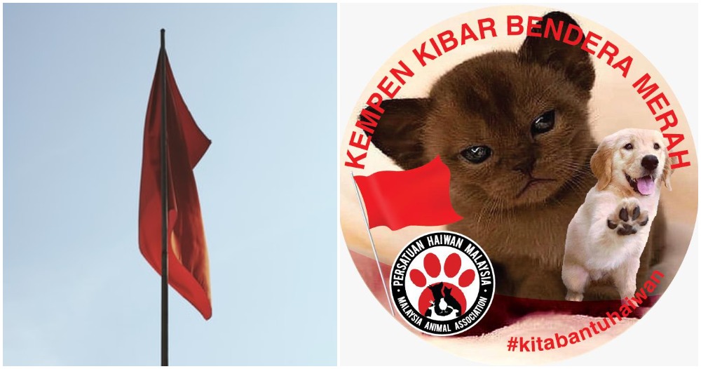 pjimage 2021 07 01T145338.565