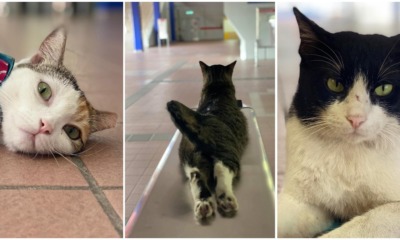 pjimage 2021 07 13T155012.712