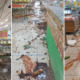 supermarket damaged goods