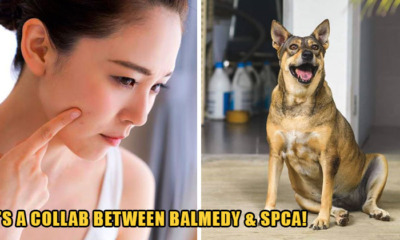 AAA template Recovered