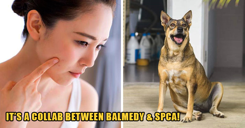 AAA template Recovered