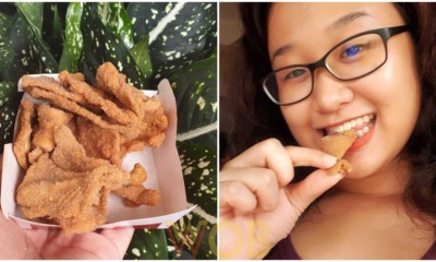 KFC fried chicken skin