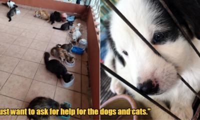 My Post 2021 08 11T135415.900