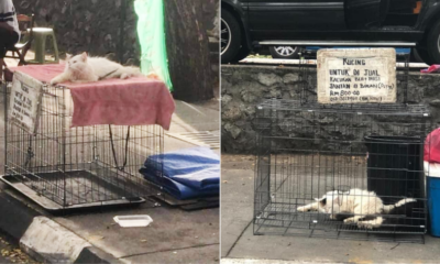 My Post 2021 08 24T152426.669