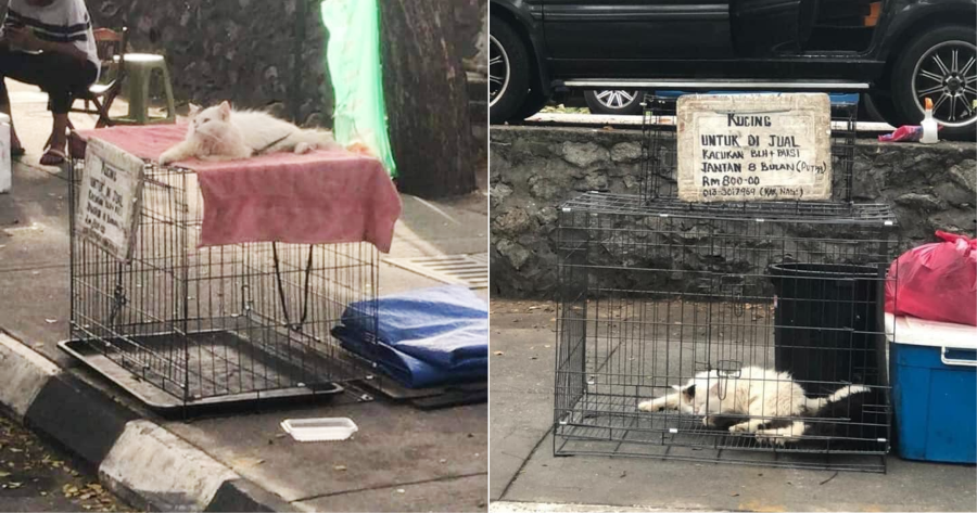 My Post 2021 08 24T152426.669