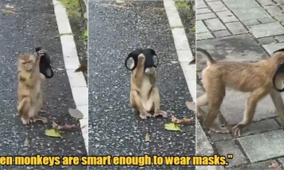 My Post 2021 08 25T153451.480