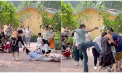 beijing zoo brawl fft