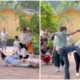 beijing zoo brawl fft