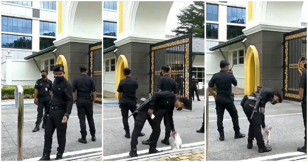 catto istana negara pdrm