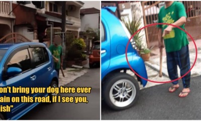 neighbour chase dog ft 2