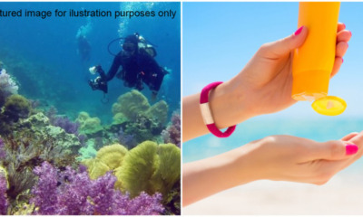 sunscreen destroy coral reef 1 e1628141059959