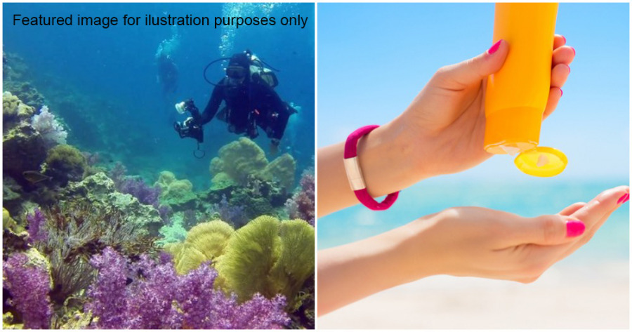 sunscreen destroy coral reef 1 e1628141059959