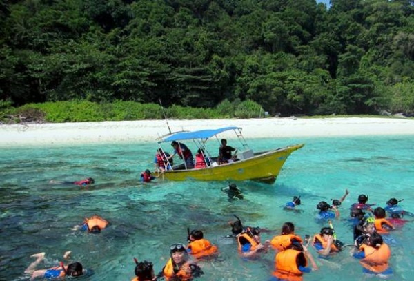 51528697894 Pulautioman