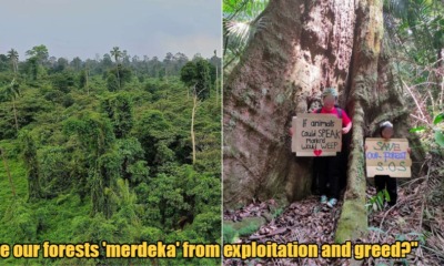 My Post 2021 09 01T150412.637