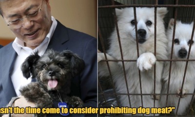 My Post 2021 09 28T112043.789