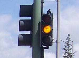 Yellow Traffic Light