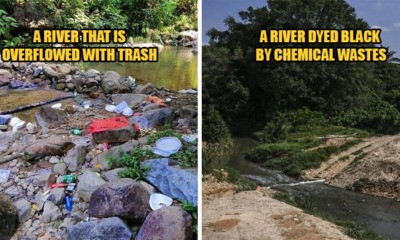 Air Selangor Feat Image 1