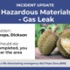 Durian mistakenly assumed as gas leak in Canberra