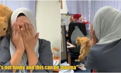 FT Image Ailurophobia 2.0