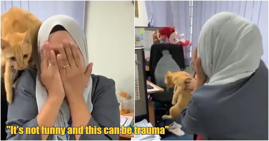 FT Image Ailurophobia 2.0