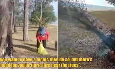 FT Image BBQ Fire Tree Fall 3.0