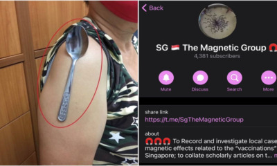 FT Image Magnetic Group