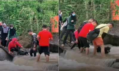 Hikers Help Dog Cross River