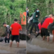 Hikers Help Dog Cross River