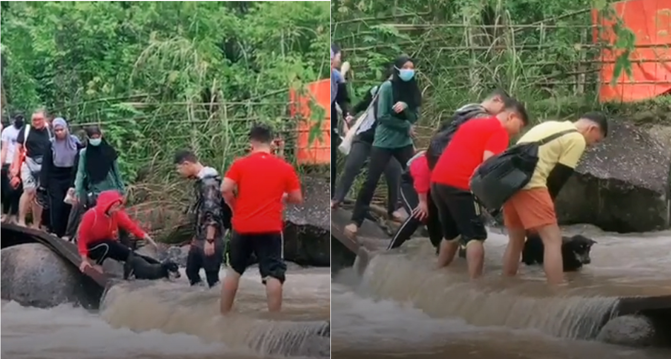 Hikers Help Dog Cross River