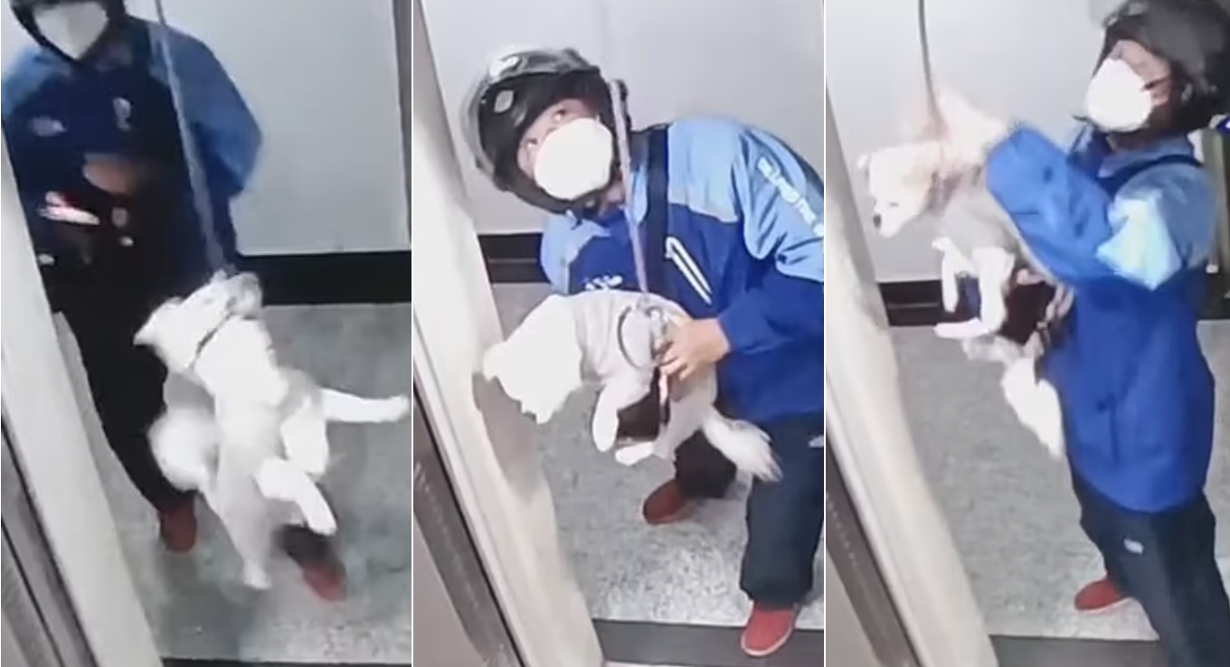 Man save dog from lift