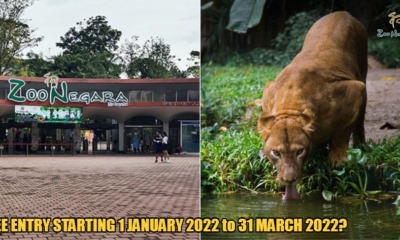 My Post 2021 10 01T121244.335