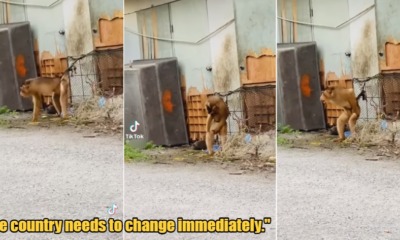 My Post 2021 10 12T114133.650