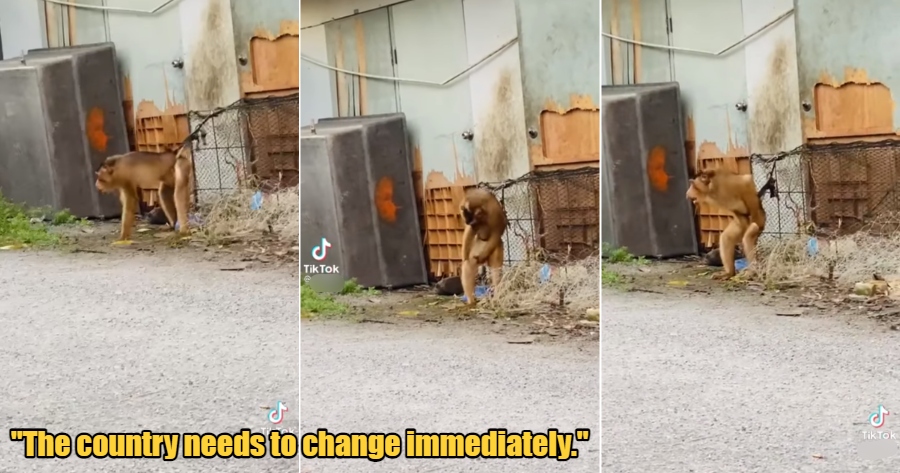 My Post 2021 10 12T114133.650